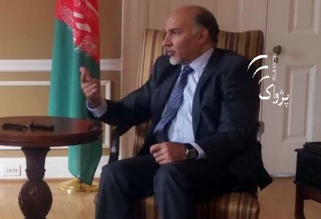 Pakistan Violated  Afghan Border 56 Times in 3 Months: Envoy